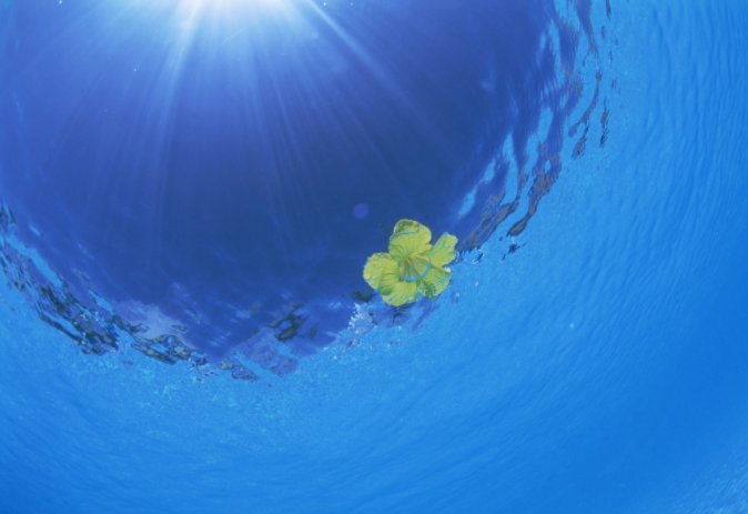 水質(zhì)采樣器應(yīng)該怎樣保養(yǎng)與維護(hù)？（水質(zhì)采樣器注意定期清潔和消毒）