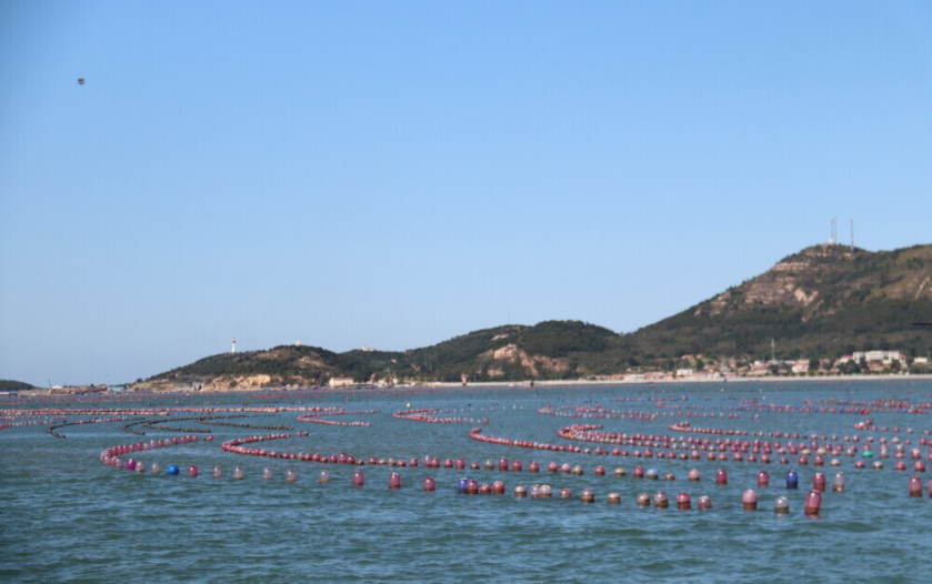 養(yǎng)魚專業(yè)水質(zhì)檢測儀什么品牌好？