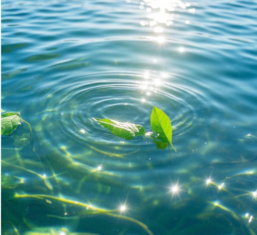 手持水質(zhì)檢測(cè)儀可檢測(cè)的項(xiàng)目（萊恩德手持水質(zhì)檢測(cè)儀的優(yōu)點(diǎn)）