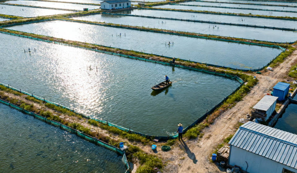 魚(yú)還能吃嗎？漁場(chǎng)專用水質(zhì)檢測(cè)儀助力漁業(yè)科學(xué)養(yǎng)殖的關(guān)鍵檢測(cè)設(shè)備